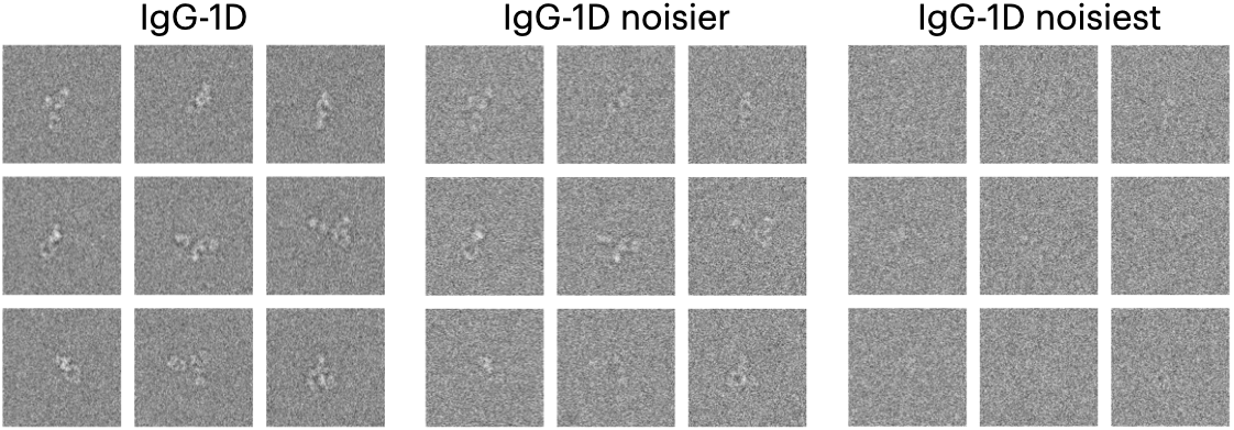 Depiction of various noise levels for the IgG-1D datasets.